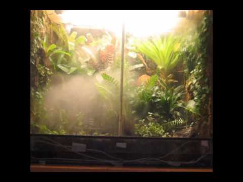 SuperFog II humidificateur d'air pour terrariums LUCKY REPTILE® – Turtle  SHOP