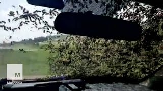 Bees Swarm Highway Patrol Vehicle After Truck Overturns | Mashable News