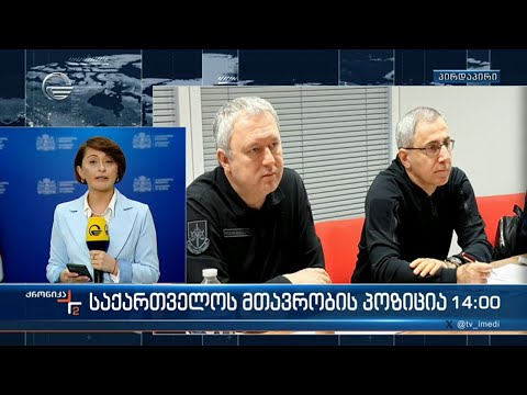 ადეიშვილის ვიზიტები - საქართველოს მთავრობის პოზიცია