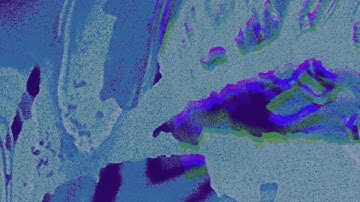 The Album Leaf - Axis (Official Visualizer)