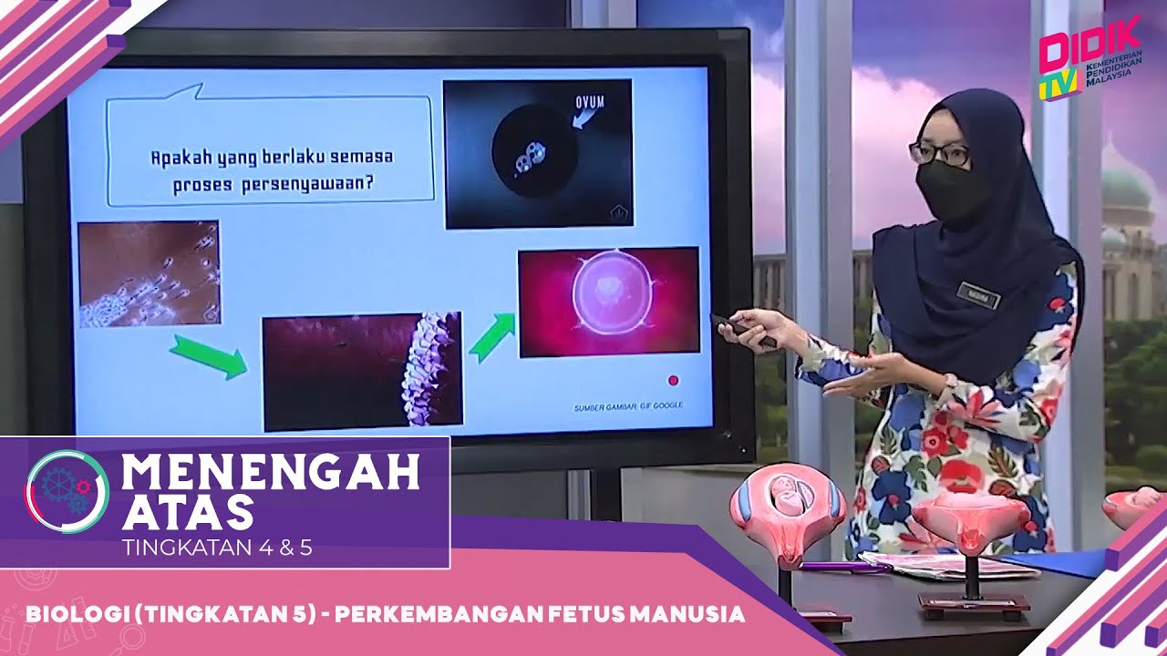 Menengah Atas | Biologi (Tingkatan 4) - Perkembangan Fetus Manusia