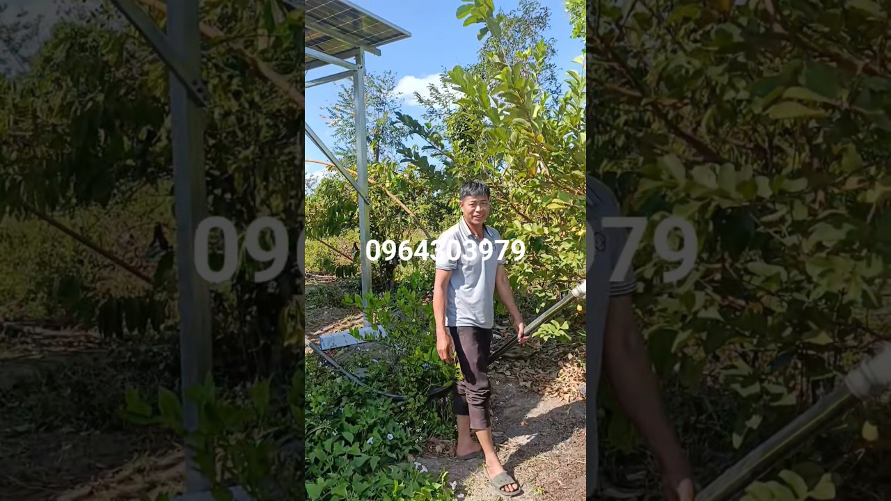 👉Điện năng lượng mặt trời.Hoàn thành bộ điện mặt trời 10 tấm pin sài bơm 3hp nước lên quá mạnh.