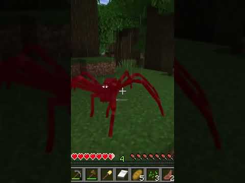 #shorts #minecraft #minecrafthorror #mods #scary #jumpscare