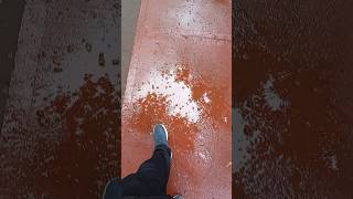 Relax Your Mind with This View 🌊🍃 #nature #naturelovers #beautifulnature #earth #travel