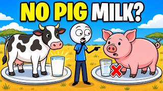 Why We Drink Cow’s Milk but Almost Never Pig’s Milk