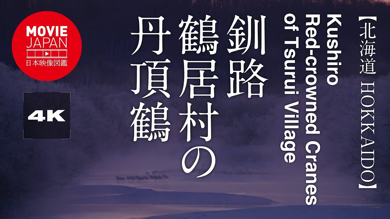 訃報 晴れ晴れ女神の晴れ日記