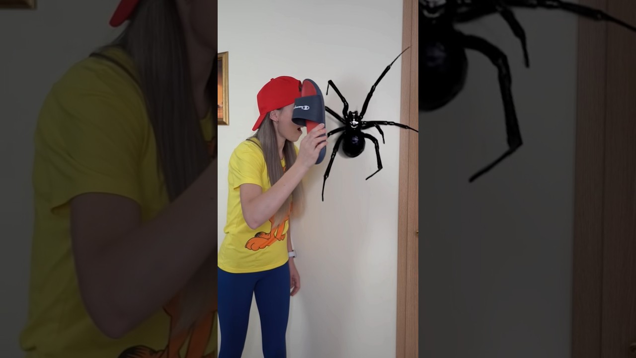 OMG Super Giant SPIDER🕷🕸in room