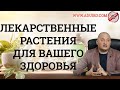 Лекарственные растения для Вашего здоровья. Рекомендации по здоровью от Тибетской Формулы