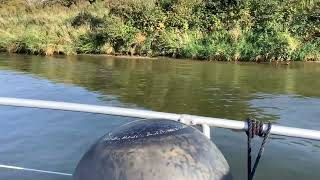 IMG 5976