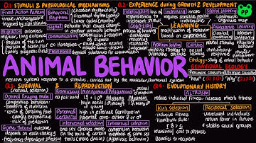Animal Behavior | Animal Physiology 22 | Biology | PP Notes | Campbell 8E Ch. 51