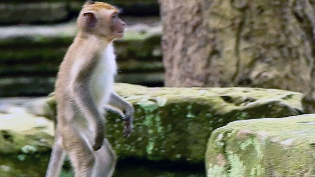 little Janna standup looking for mother JANE because need milk now