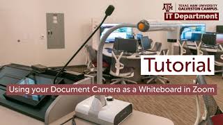 How to use your document camera as a whiteboard in Zoom