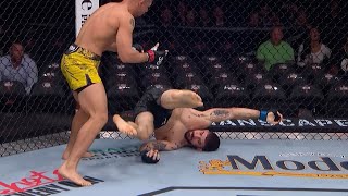 Лучшие Финиши Слэмом В Ufc