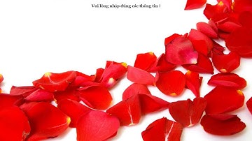 Hương Dẫn Tạo Web Tặng Người Yêu Đơn Giản