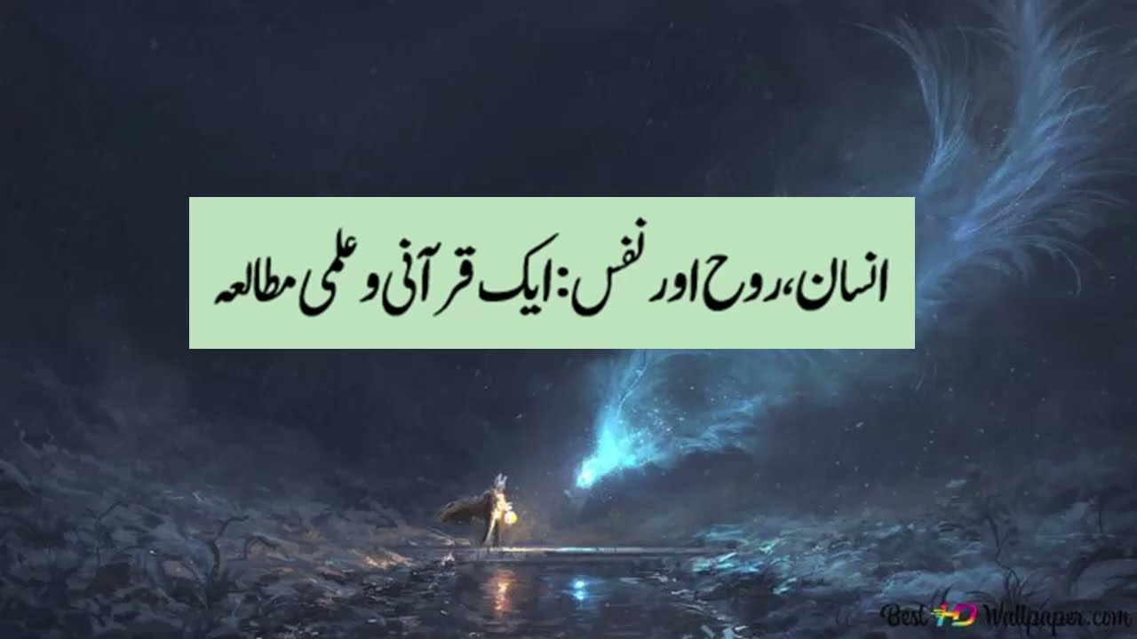 The insight of Human Being. Who is he? What is Roh? What actually we are?