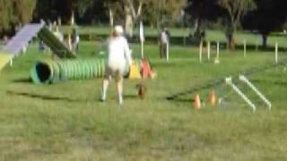 090328 Boz Standard Level 2