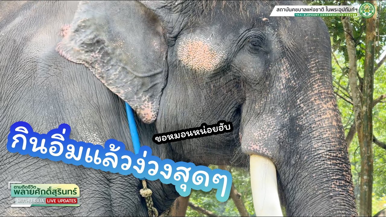 ตามติดชีวิต 