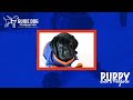 Monte Training Pupdate: Episode 2
