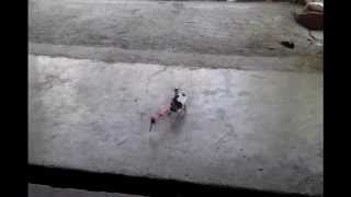 hk450 rookie hover