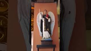 Saint Vincent Ferrer Please Pray for Us #stvincent #pray #catholicfaith #faith #devotion #short