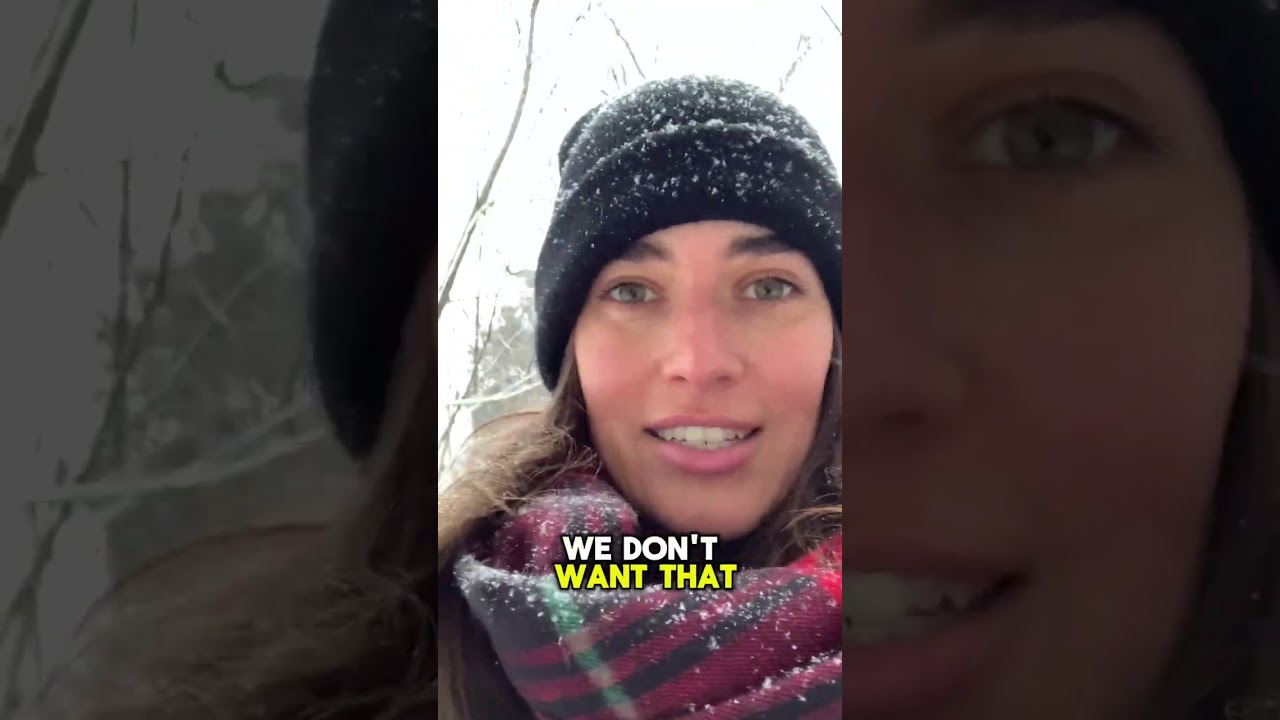 Refusal due to misrepresentation is up by 600%