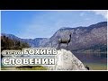 Словения. Озеро Бохинь / lake Bohinj Slovenija / Bohinjsko jezero, Slovenija