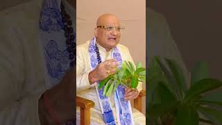 Alstonia सप्तपर्णी  भी गुर्दे के रोग को ठीक करने में कारगर #viralvideo #tanmaygoswami #health