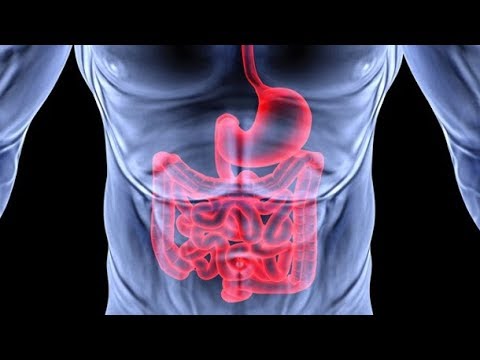 ساعة صباح.. أسباب الإصابة بالقرحة وجرثومة المعدة