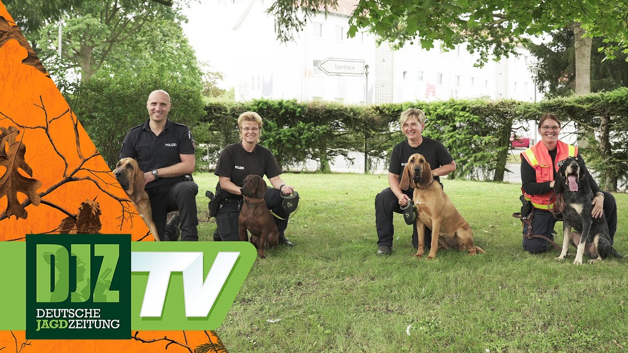 Unterwegs mit Mantrailern - DJZ TV