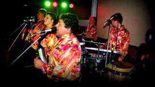 Los Palmeras - Diferencias