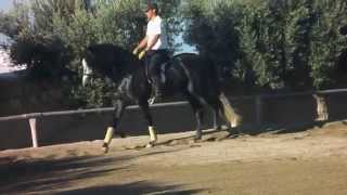 DSCN0265