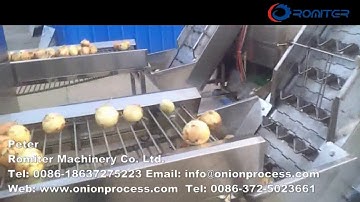 Automatic Onion Sorting and Peeling Line for Sale