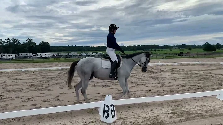 Melissa’s Gal - Novice Test B For Sale