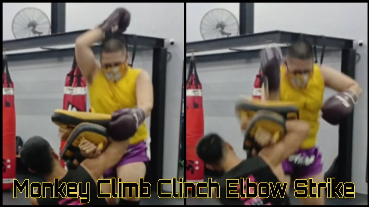 Highlight my Warm-Up Exercise, Barbell Squats, Padwork Training(Monkey Climb Clinch Elbow Strike)