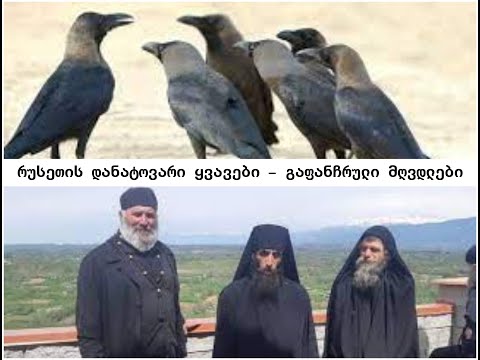 ბრტყელთავიანი მორწმუნეები...  (ამონარიდი თეოფილე მალაქიას საუბრებიდან)