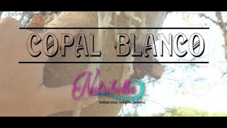 Nutribella - Copal Blanco Con Veronica Felix