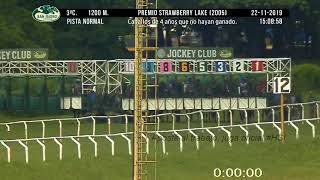 Jockey Club hipódromo en vivo