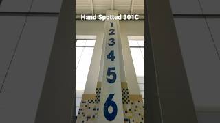 How to Hand Spot a Reverse Dive - Diving Education - MRDC RIPFEST