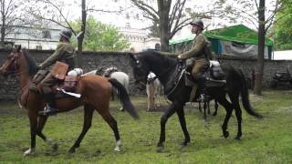 3 maja 2016 pokaz Kawalerii
