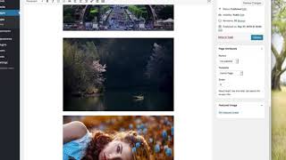 Spar WordPress Plugin