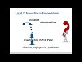 Endometriosis 
