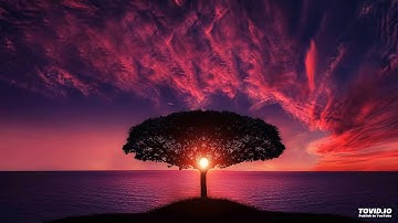 Surat Al-Zalzalah and Surat Al-Adiyat سورة الزلزلة و العاديات للقارئ العبيدي