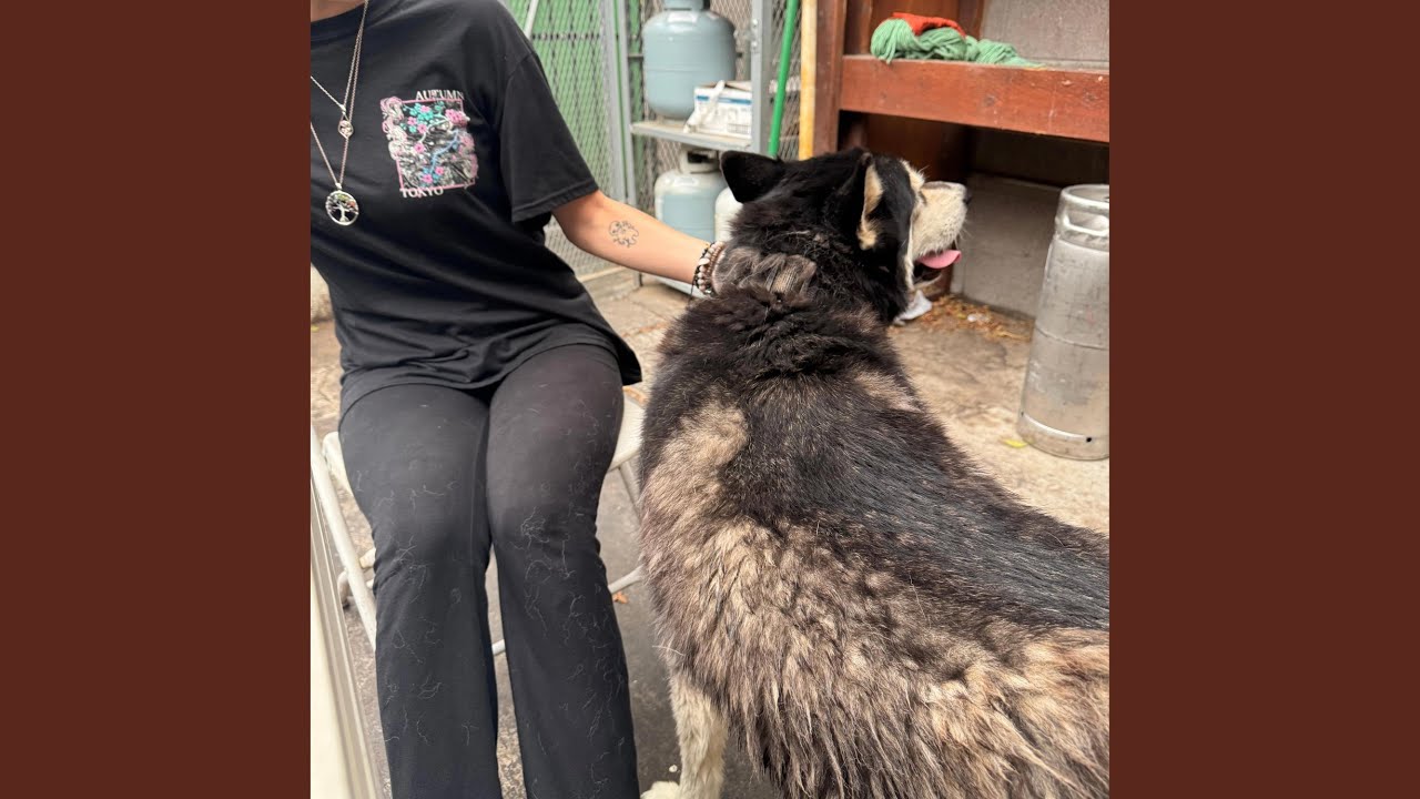 Watch disposition on YouTube Watch disposition on YouTube