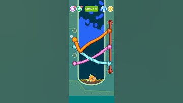 Save The Fish Game Level 113