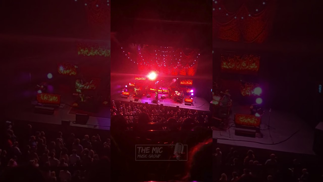 Lake Street Dive - "Good Kisser" 2/5/2023 #shorts