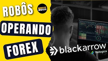 Robôs do Profit Operando FOREX na Plataforma Black Arrow