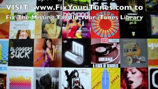 Fix The Missing Tags In Your iTunes Library