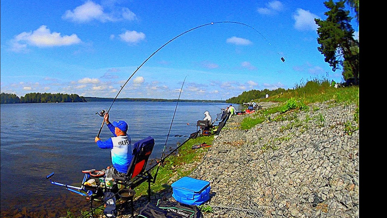 Фидерная рыбалка в Калязине чемпионат Тверской области по ловле донной ...
