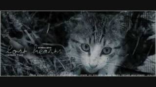 Mothwing~Heavens Not Enough