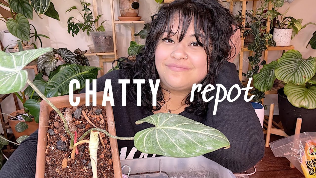 Chatty Repot - All the Plants I Lost and Sold in 2022...